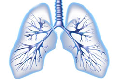 运动诱发性哮喘病因有哪些？